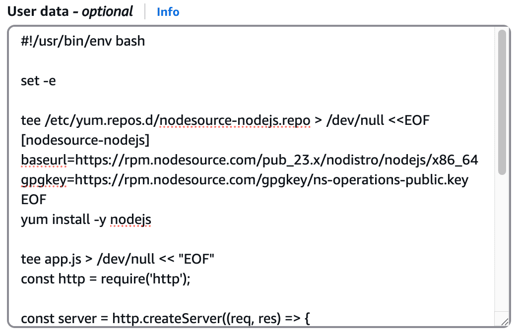 Configure user data for your EC2 instance