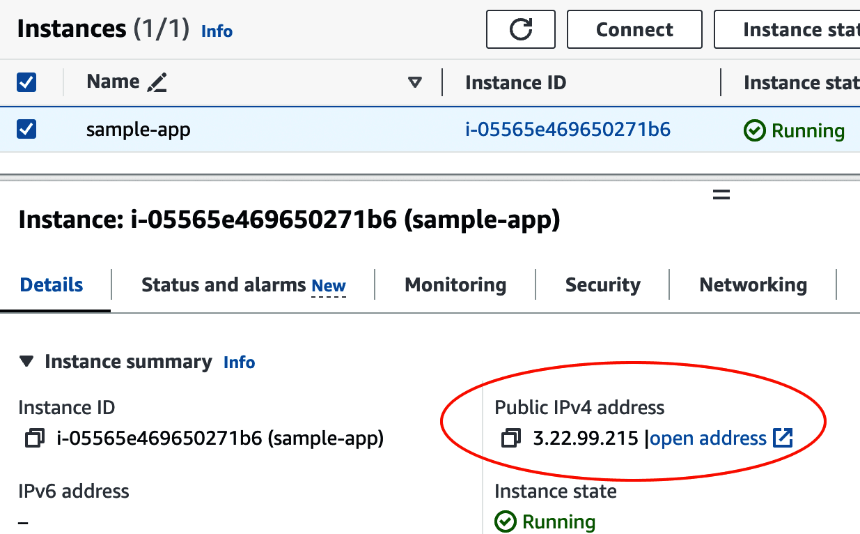 Find the public IP address for your EC2 instance